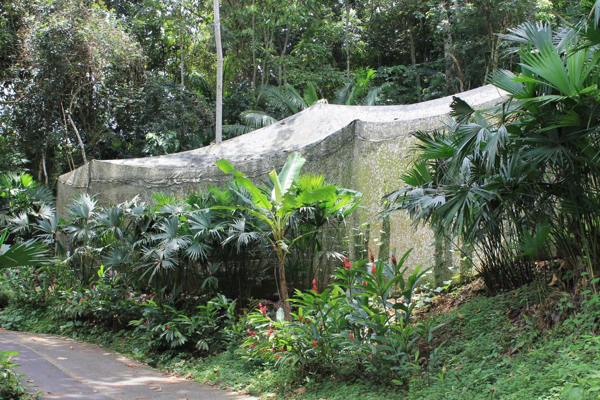 Summit Rainforest Golf Resort & All Inclusive Ciudad de Panamá Exterior foto